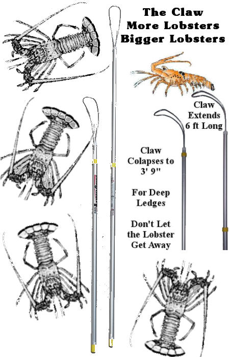 Extendable Lobster TICKLE STICK catch snare The Claw