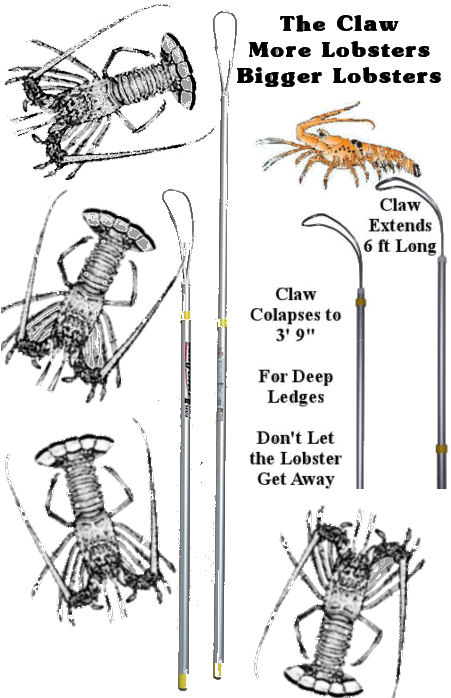 Lobster Claw Tickle Stick Snare is an adjustable aluminum pole