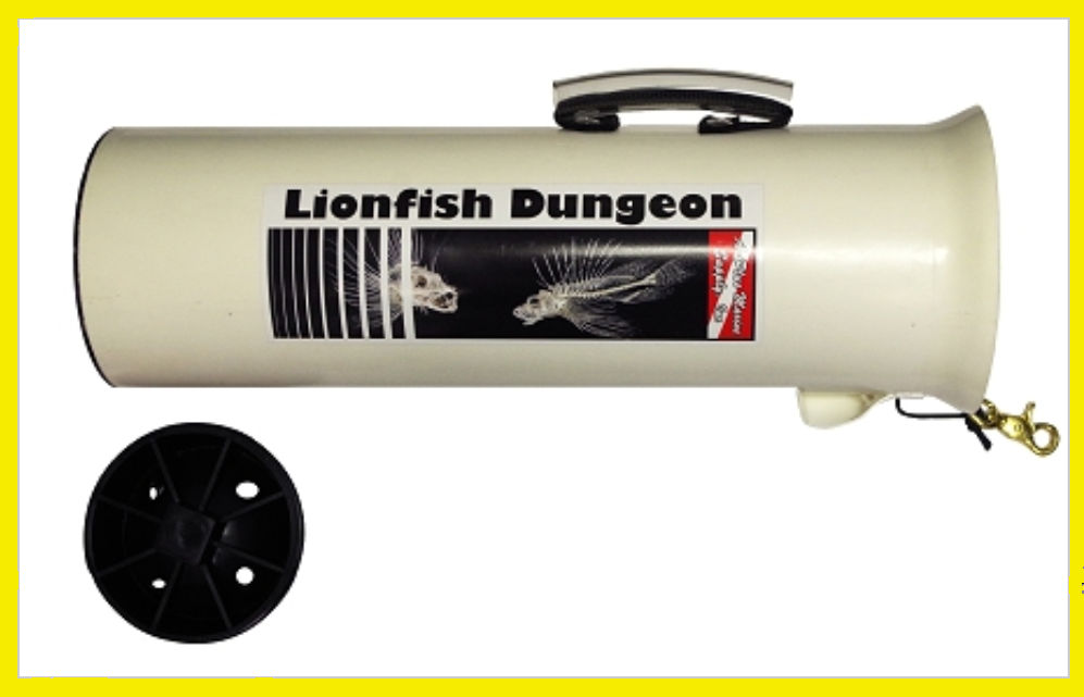 https://www.waternsports.com/images/LionfishDungeon.jpg