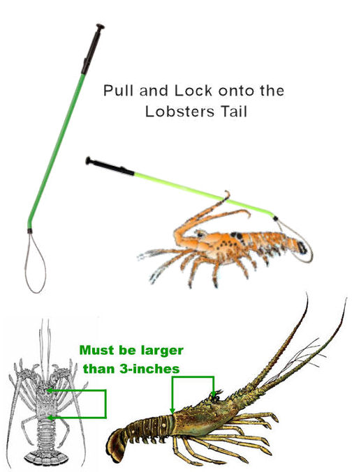 click to see more