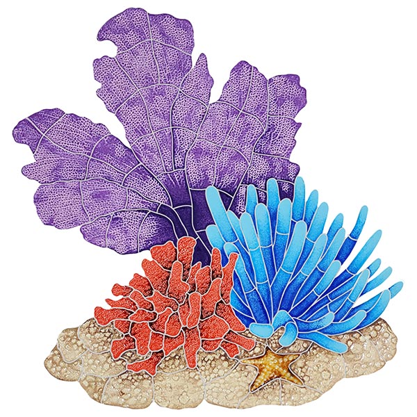 Mosaic Pool Coral Reefs