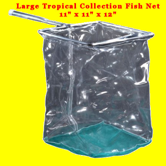 click to see more