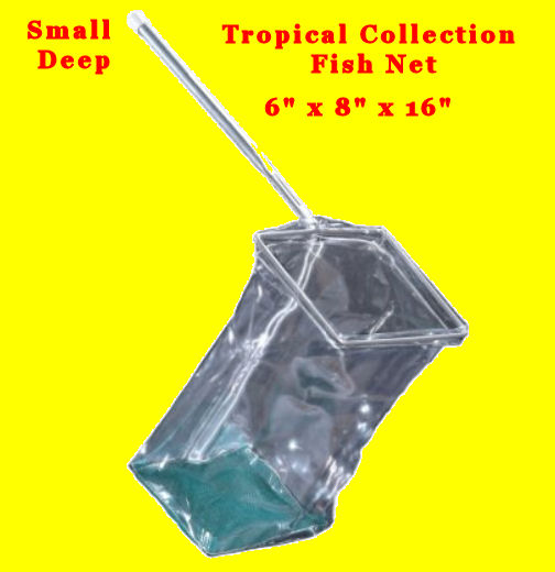click to see more