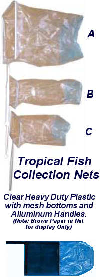 Nets Catch Tropical Fish